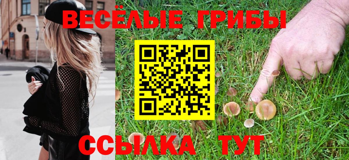 Псилоцибиновые грибы MAGIC MUSHROOMS Алексин
