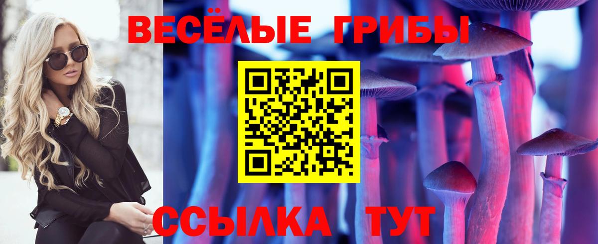 Псилоцибиновые грибы мицелий  Вход с VPN  Алексин 