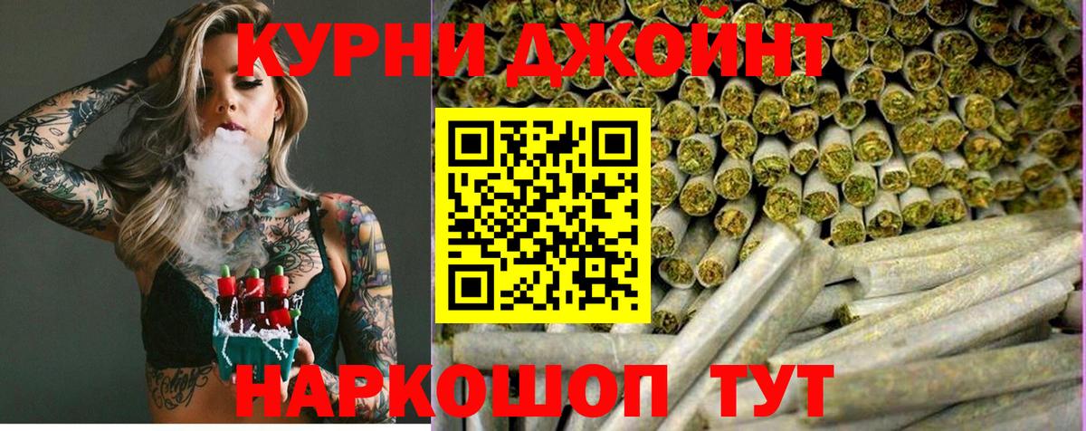 Конопля сатива Алексин